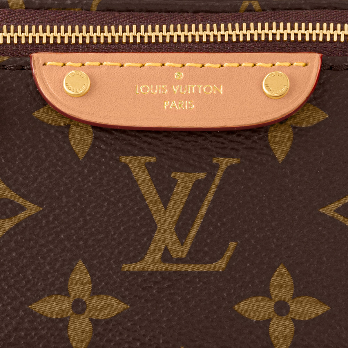 Louis Vuitton Rush BumBag Monogram