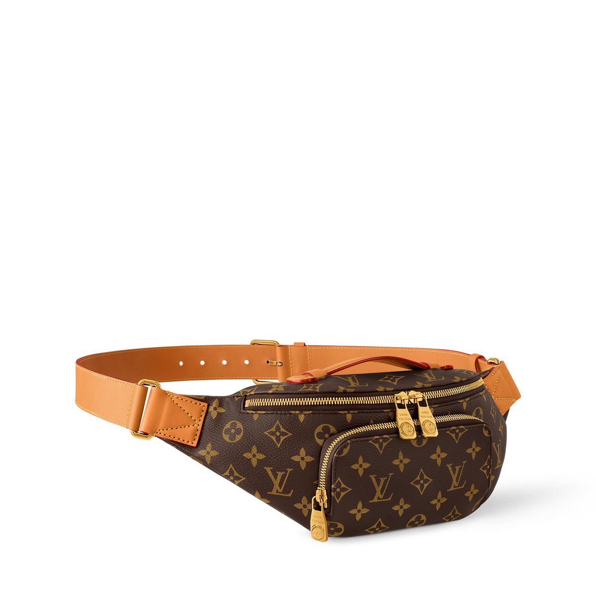 Louis Vuitton Rush BumBag Monogram