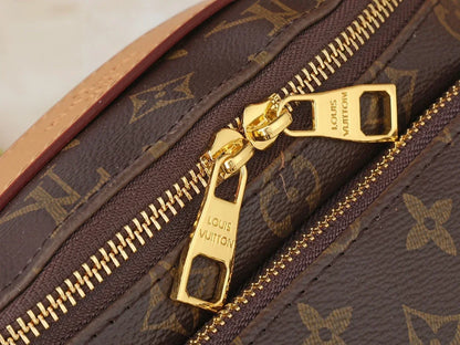 Louis Vuitton Rush BumBag Monogram