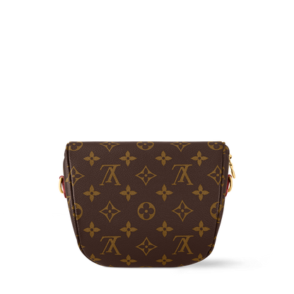 Louis Vuitton Rush BumBag Monogram