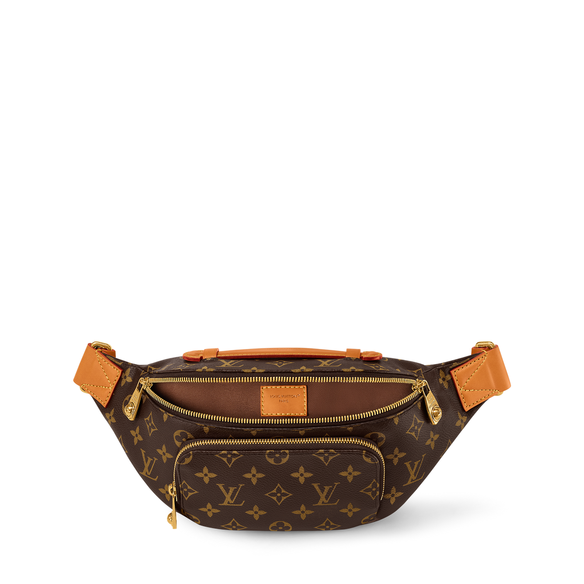 Louis Vuitton Rush BumBag Monogram