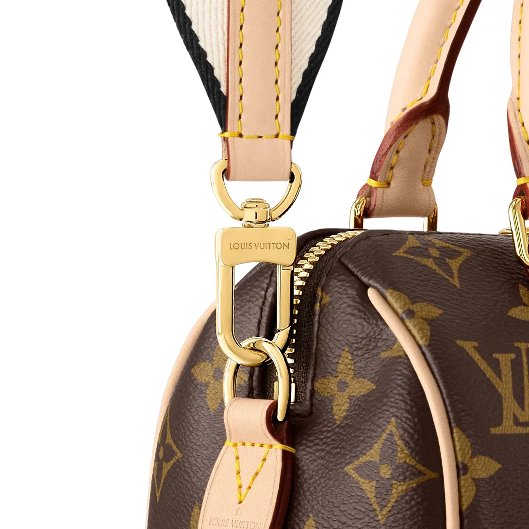 Louis Vuitton Speedy Bandoulière 20 Bag